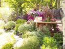 gallery/small/0 (13)-Garden-Hailey-Idaho.jpg